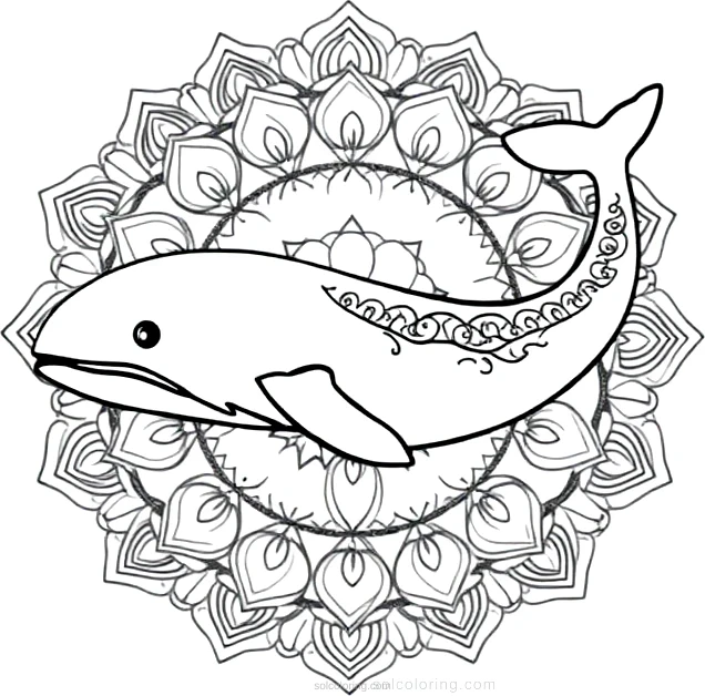 Whale coloring page for kids