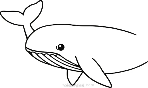 Whale coloring page for kids