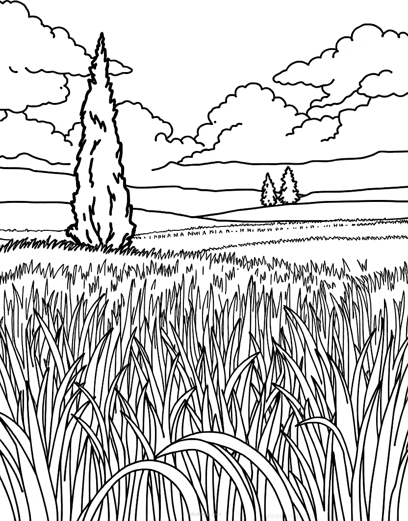 Wheat Field with Cypress coloring page for kids