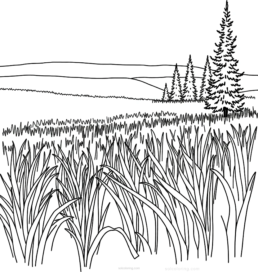 Wheat Field with Cypress coloring page for kids