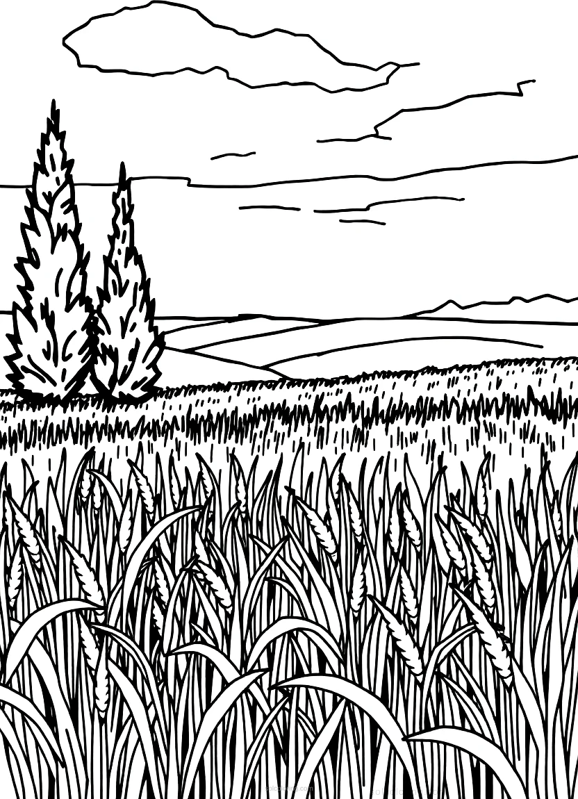 Wheat Field With Cypress coloring pages