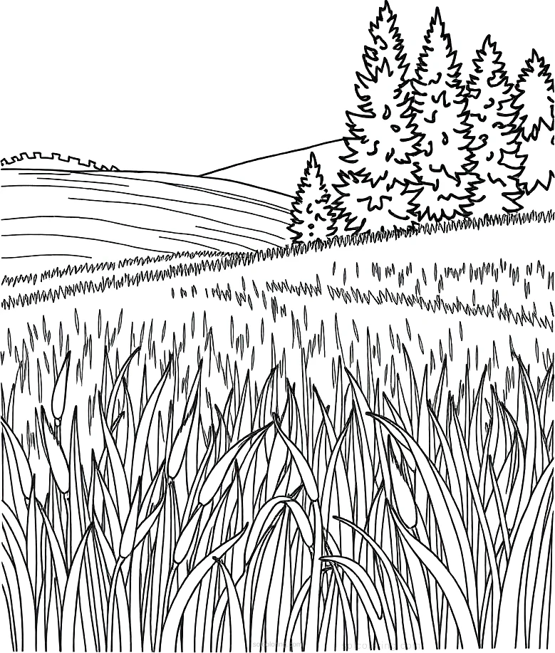 Wheat Field with Cypress coloring page for kids