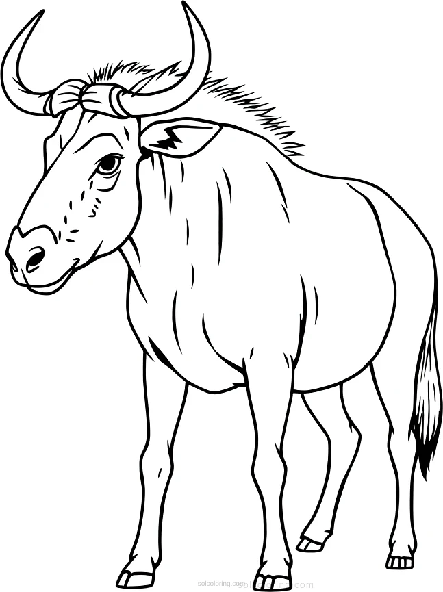Wildebeest coloring page for kids