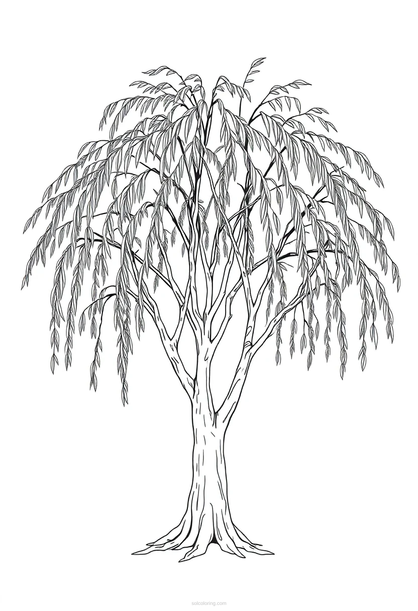Willow Tree Cute Cartoon coloring pages