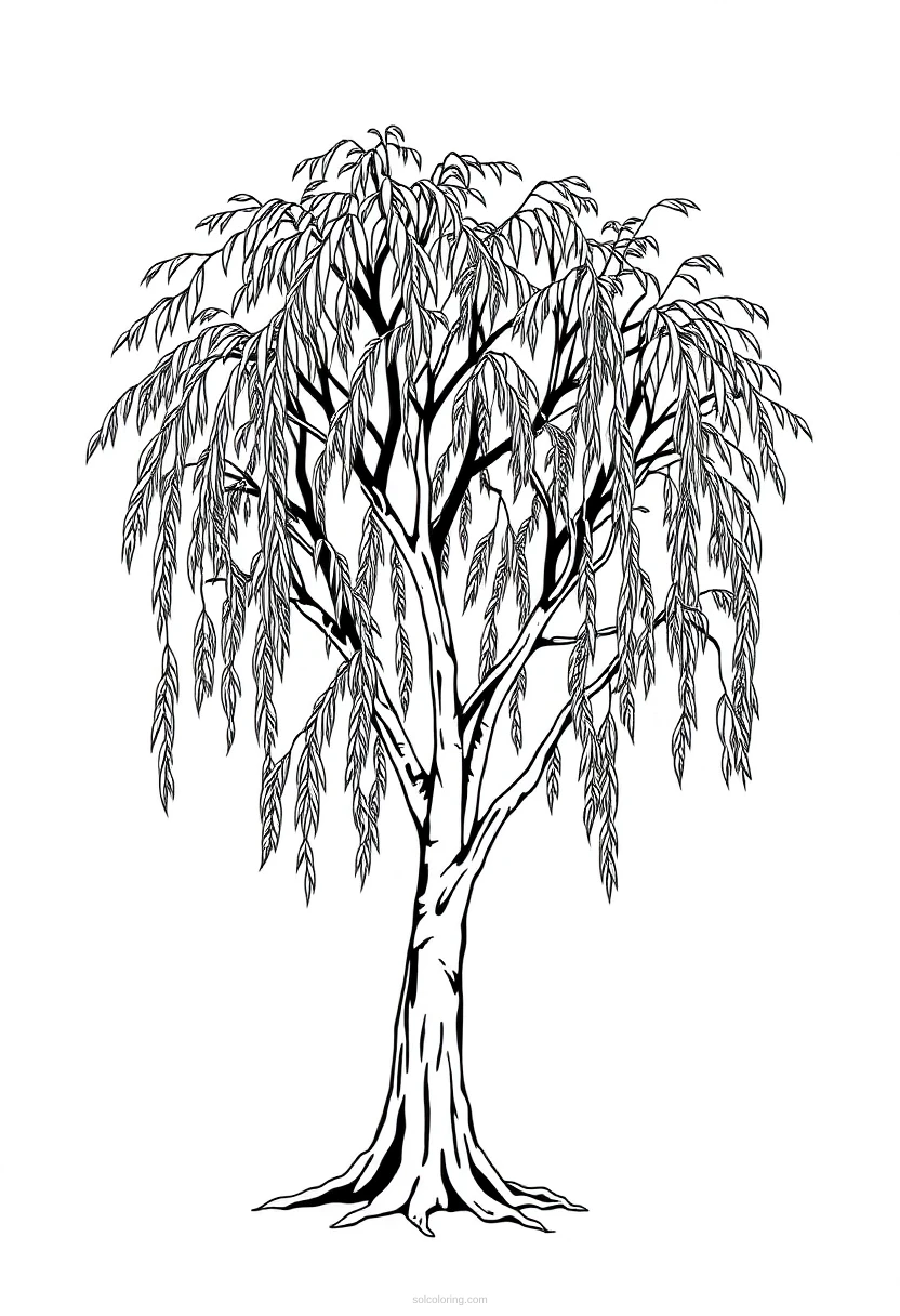 Willow Tree coloring page for kids