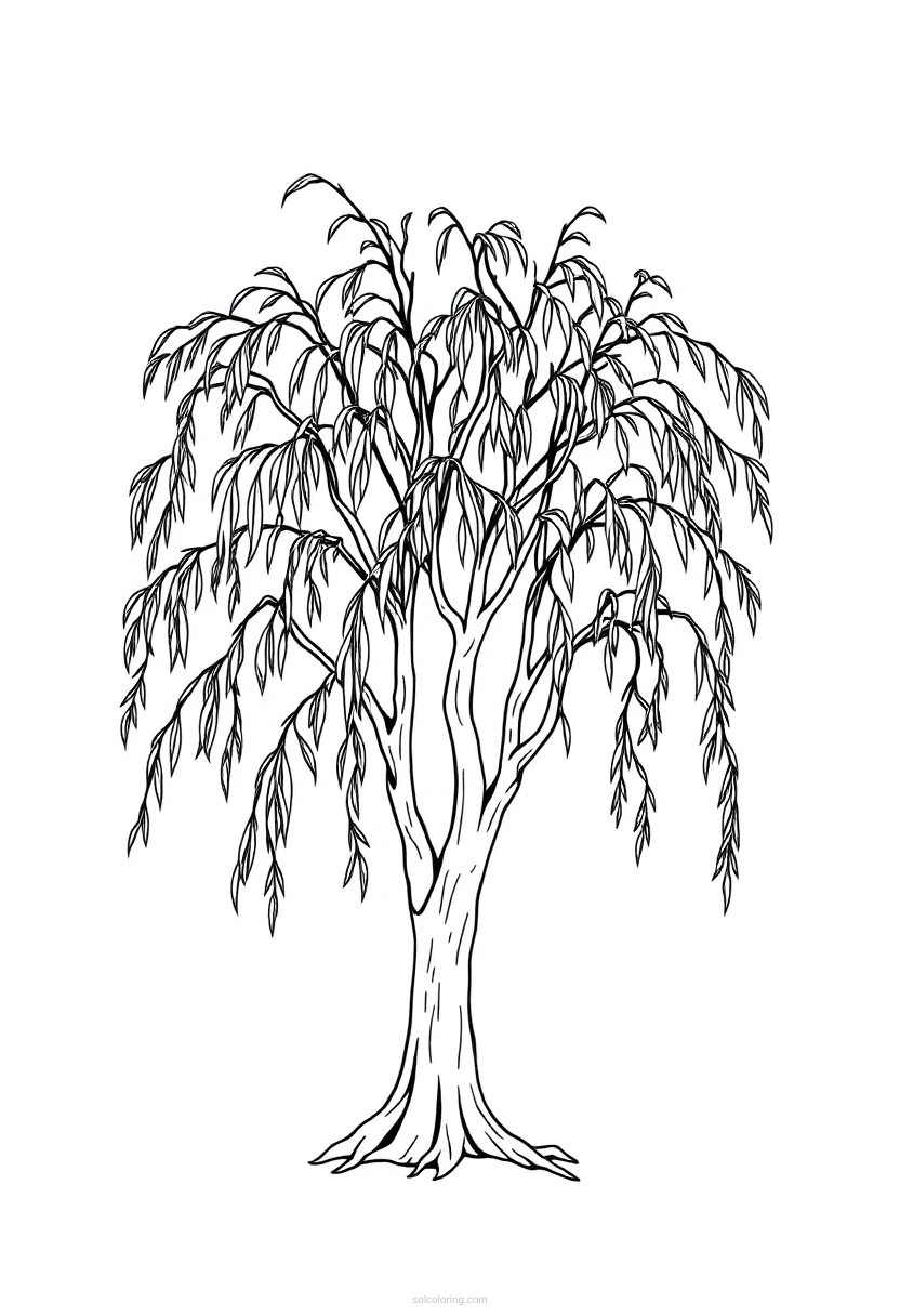 Willow Tree coloring page for kids