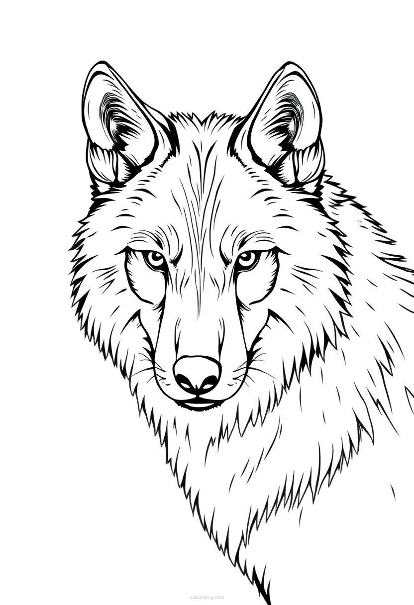 Wolf coloring page for kids