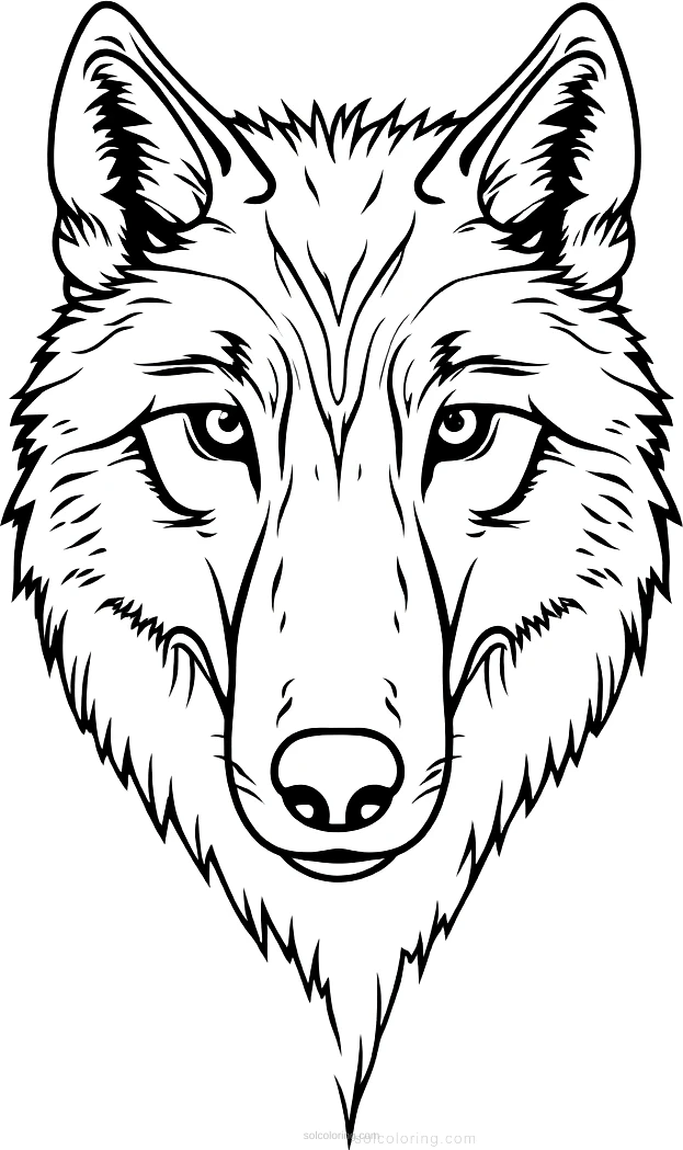 Wolf coloring page for kids