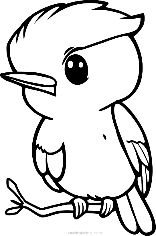 Woodpecker coloring page for kids