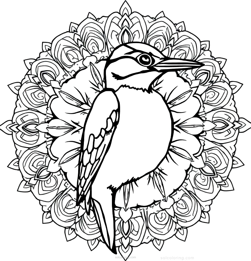 Woodpecker coloring page for kids