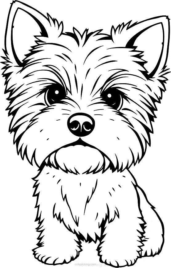 Yorkshire Terrier Portrait coloring page for kids