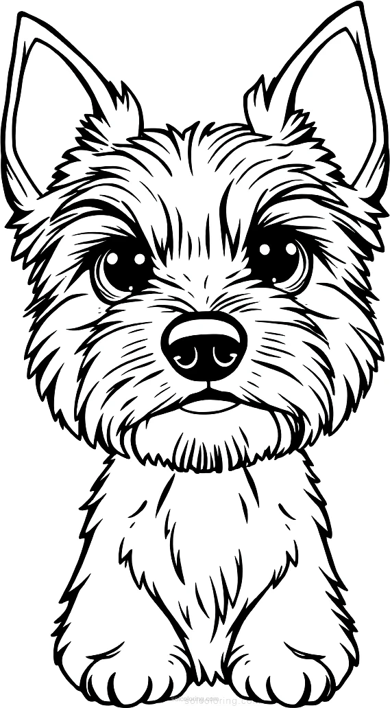 Yorkshire Terrier Portrait coloring page for kids
