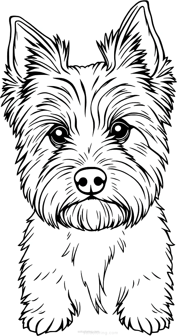 Yorkshire Terrier Portrait coloring page for kids