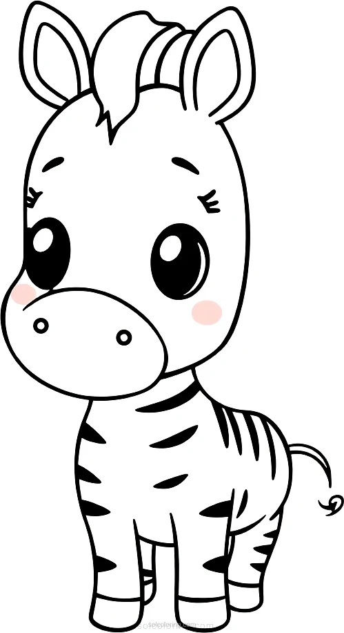 Zebra coloring page for kids