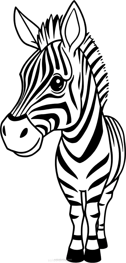 Zebra coloring page for kids